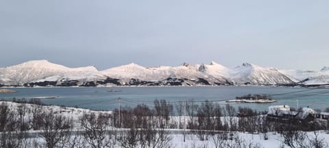 Day, Natural landscape, Winter, Mountain view