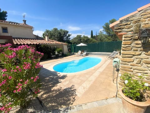 Garden, Pool view, Swimming pool