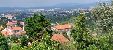 Lideal Condominio in Coimbra