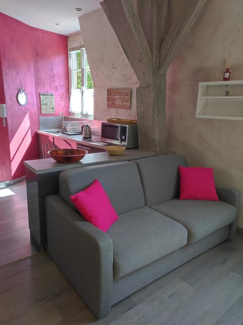 Studio La Tan'Eure Apartment in Chartres