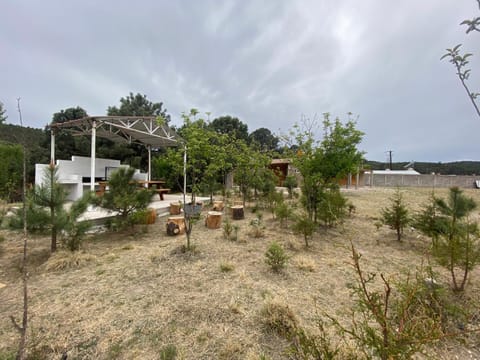 Patio, Balcony/Terrace