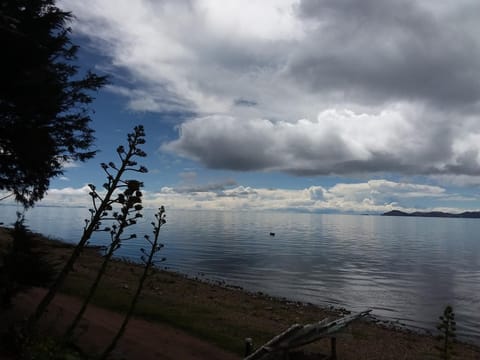 Natural landscape, Beach, Lake view