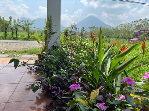 Garden, Garden view