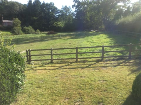 Garden, Garden view