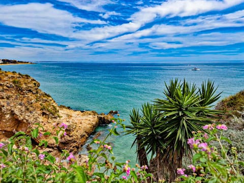 Spring, Natural landscape, Sea view