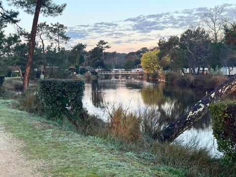 Day, River view