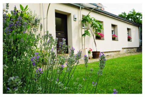 Property building, Day, Summer, Garden, Garden view