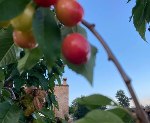 Vila-seca Vall d'Amunt, vine i desconnecta! Villa in Solsonès