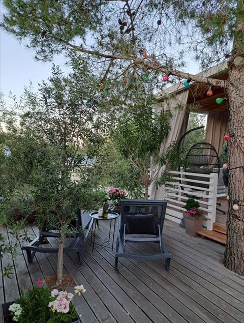 Garden, Garden view, Internal: Not applicable to any particular room