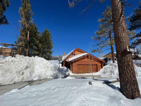 Property building, Winter