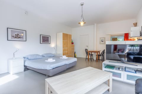 Vrijvakantiehuis Domburgseweg 52 studio Apartment in Domburg