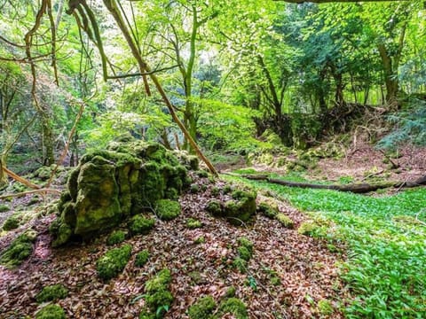 The Nook Haus in Forest of Dean