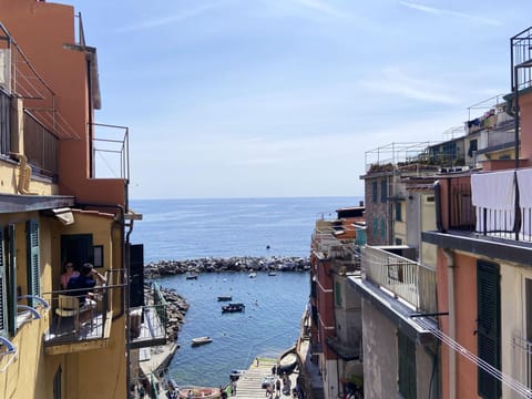 Natural landscape, Sea view