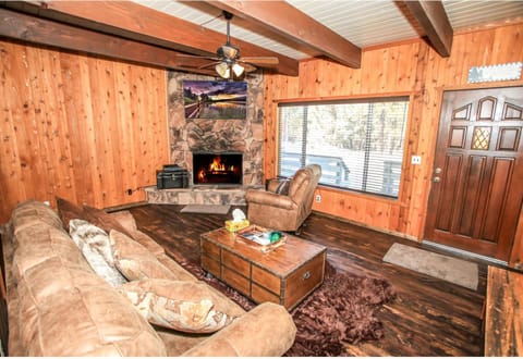 TV and multimedia, Living room, Seating area, fireplace, flat iron