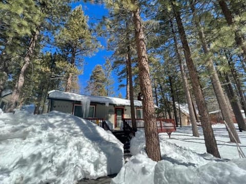 The Oasis Chalet - Walking distance to The Village, The Lake, and Alpine Slide! Chalet in Big Bear