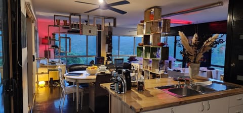 Kitchen or kitchenette, Photo of the whole room, Dining area