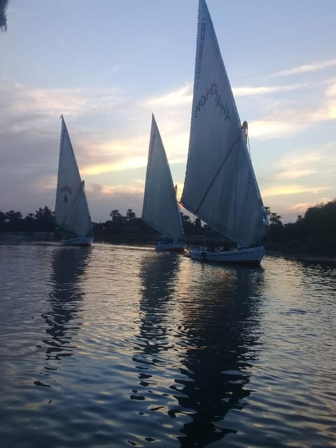 Day, Activities, River view