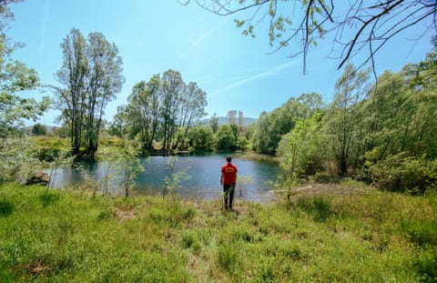 Purple Eye Camp & Winery Campground/ 
RV Resort in Podgorica Municipality, Montenegro