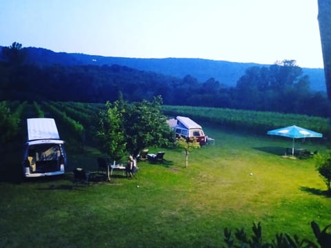 Purple Eye Camp & Winery Campground/ 
RV Resort in Podgorica Municipality, Montenegro