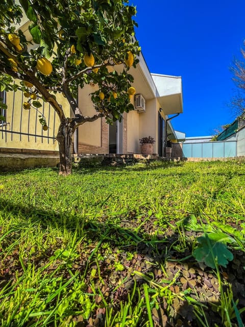 Property building, Facade/entrance, Garden