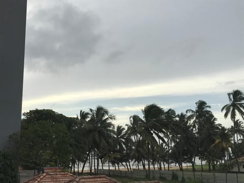 Natural landscape, Sea view