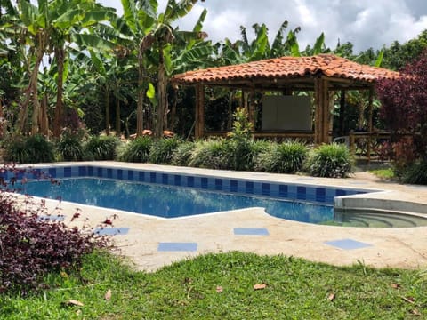 Garden view, Pool view, Swimming pool