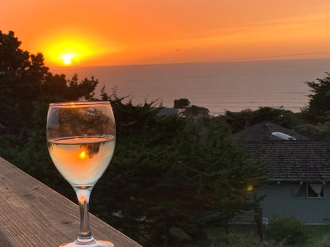Sea Dream - Amazing Ocean Views and Sunsets! House in Mendocino County