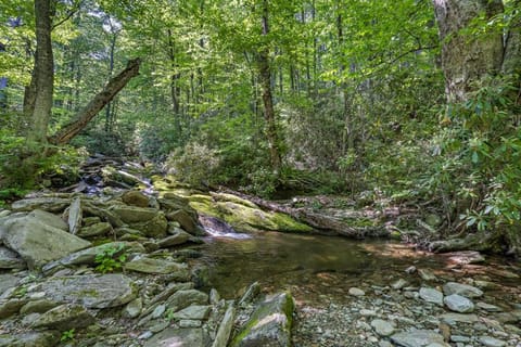 Lost Creek Lodge House in Watauga