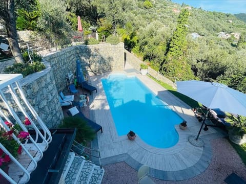 Garden, Pool view, Swimming pool, sunbed