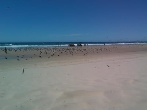 Caparica Holidays House in Costa da Caparica