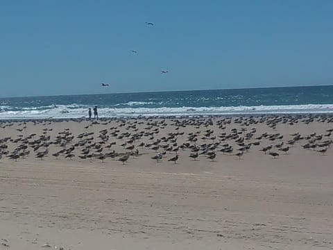 Caparica Holidays House in Costa da Caparica