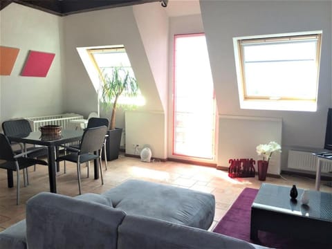 Beautiful Top Floor Apartment with Lake View Apartment in Lausanne