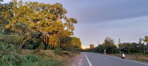 Day, Neighbourhood, Natural landscape