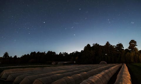 Night, Natural landscape