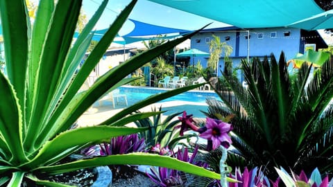 Hidden Palms Inn Location de vacances in San Juan