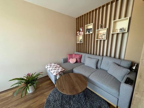 Cozy and bright apartment Wohnung in Sofia