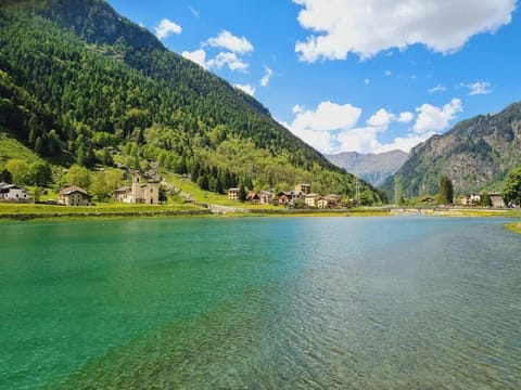 Natural landscape, Summer