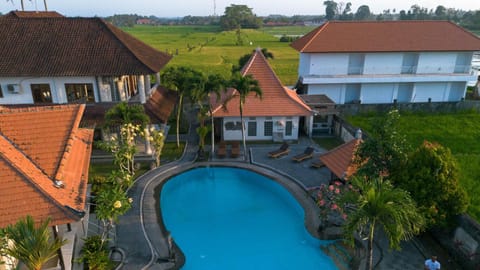 Garden, Swimming pool