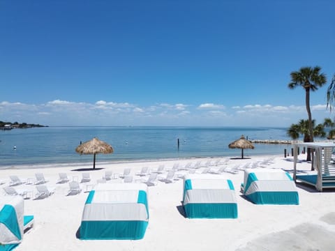 Natural landscape, View (from property/room), Seating area, Beach, Beach