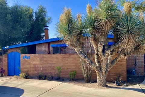 Casa Azul - Cute Centrally Located Adobe with Large Fenced Outdoor Living For Pets and Adults, Non-smoking House in Tucson