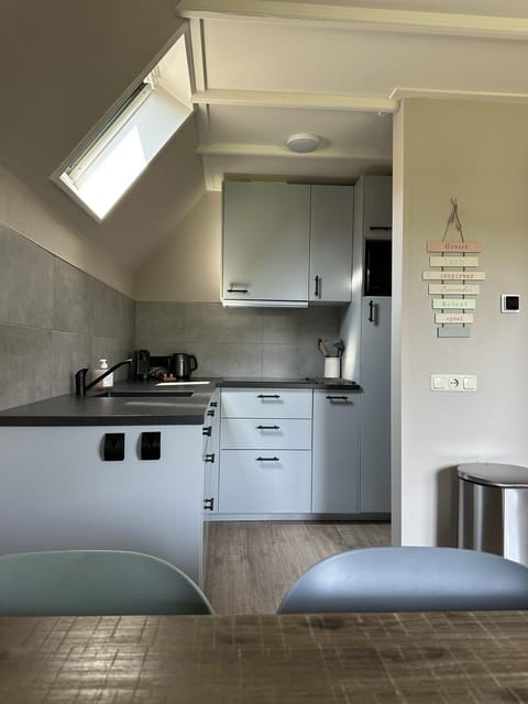 Kitchen or kitchenette, minibar, stove