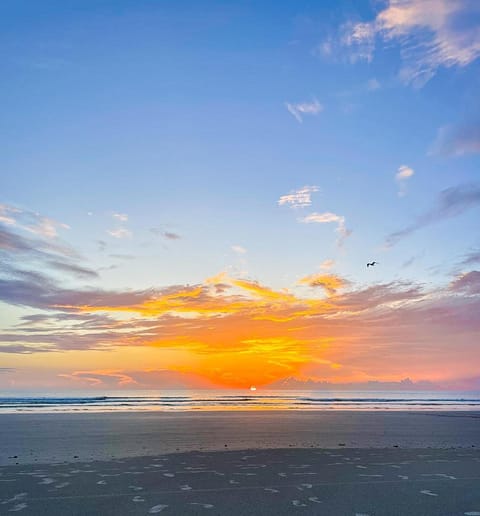 Atlantic Villas 302 House in New Smyrna Beach