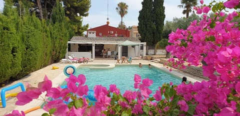 BBQ facilities, Garden, Pool view, Swimming pool, sunbed