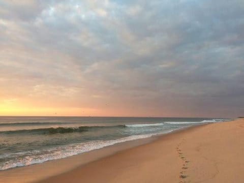 2 mins from Nauset Beach House in Orleans