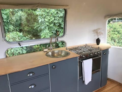 Airstream, vintage American caravan & Hottub House in Ashburton