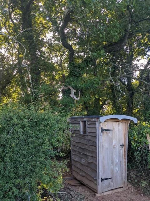 Toilet, Garden view