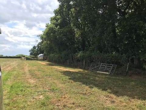 Airstream, vintage American caravan & Hottub House in Ashburton