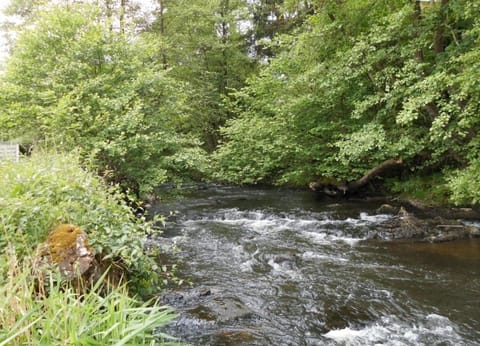 Spring, Day, Natural landscape, River view