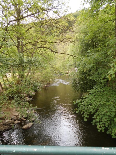 Nearby landmark, Spring, Day, Natural landscape, River view