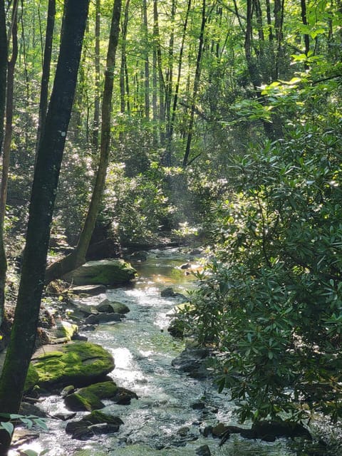 By the Creek near Lake Toxaway House in Gloucester